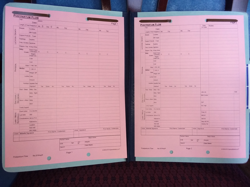 Midwife Charts - Postpartum Care Flow Sheet