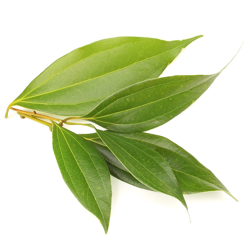 Cinnamon Verum Leaf essential oil organic