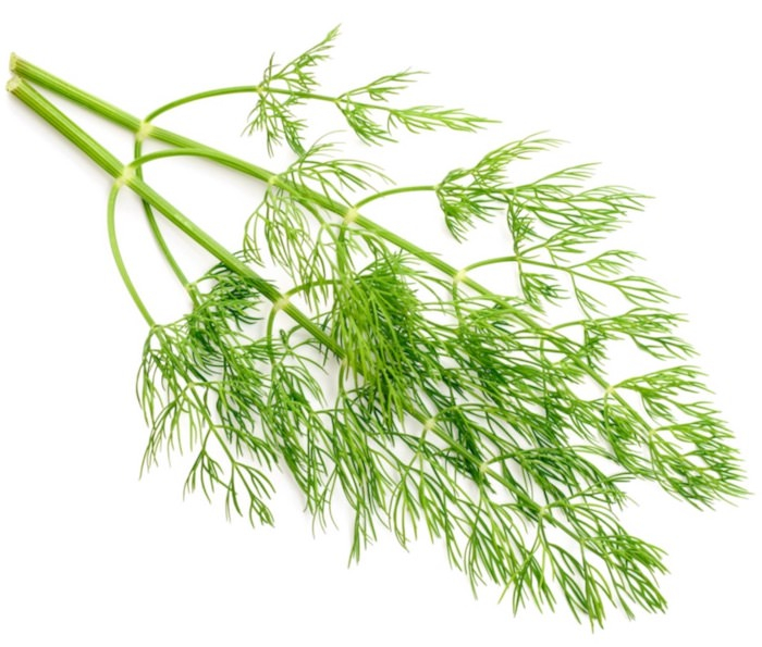 (image for) Dill Weed essential oil