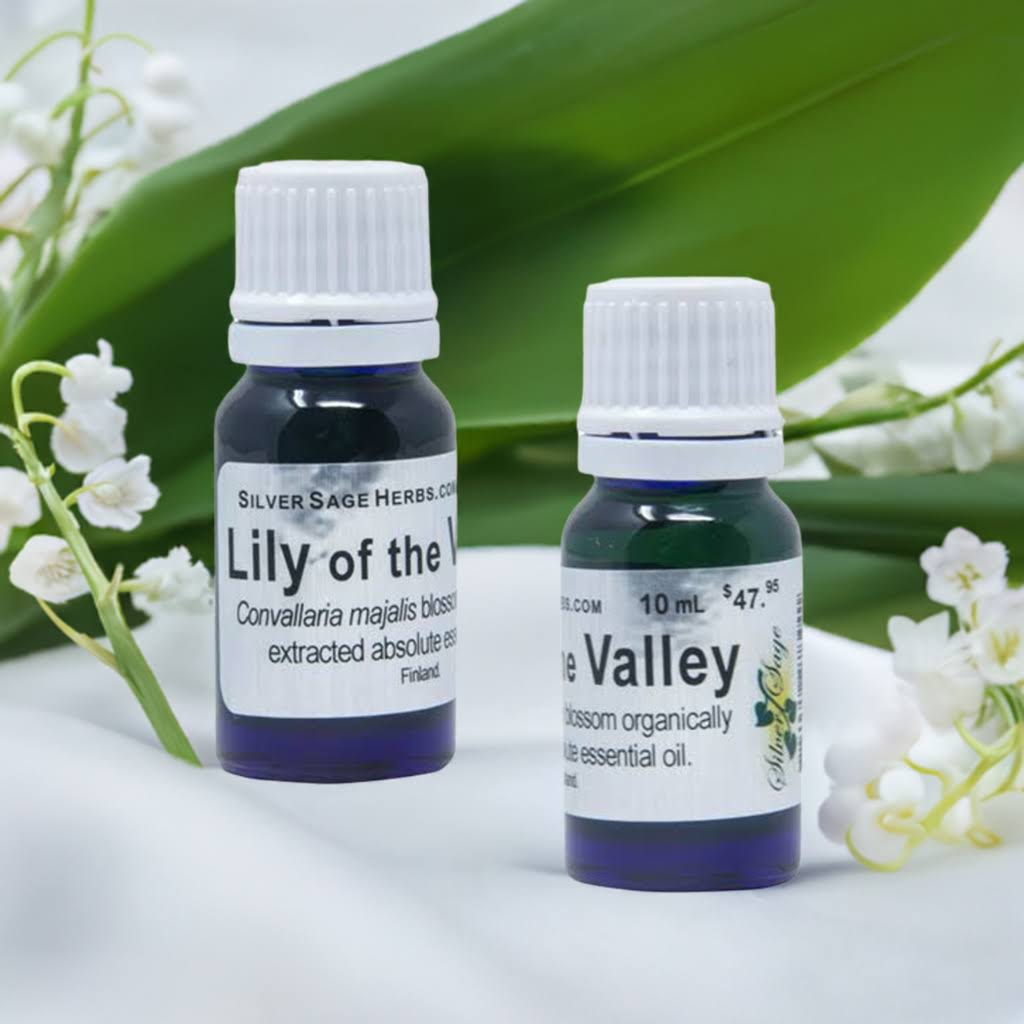 Modal Additional Images for Lily absolute oil