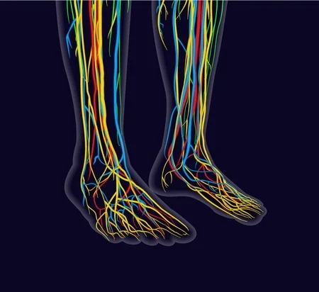 Neuropathy essential oils (image for) Neuropathy essential oils