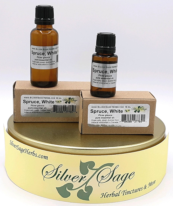 Spruce, White essential oil organic